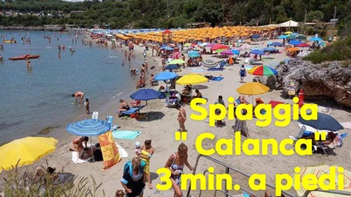 Cialoma Full Green Marina di Camerota Dış mekan fotoğraf