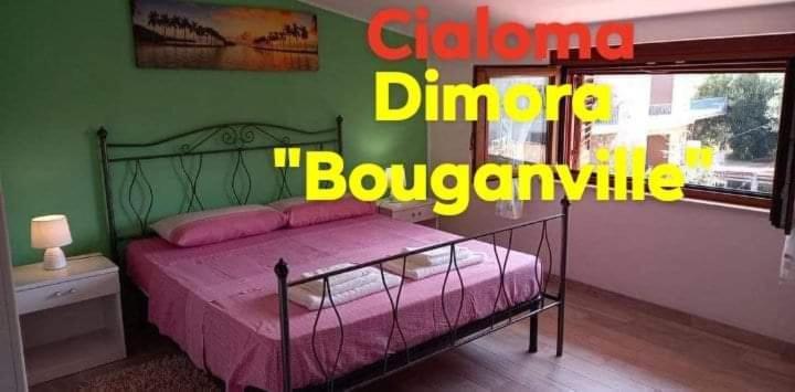 Cialoma Full Green Marina di Camerota Dış mekan fotoğraf
