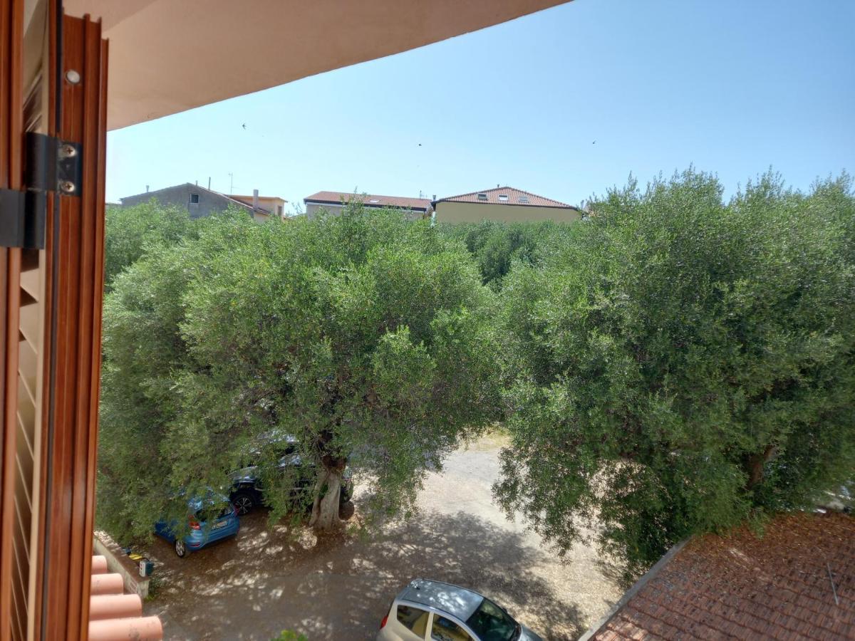 Cialoma Full Green Marina di Camerota Dış mekan fotoğraf