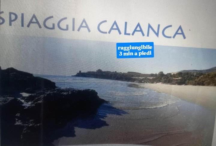 Cialoma Full Green Marina di Camerota Dış mekan fotoğraf