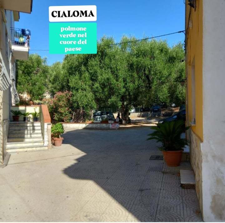 Cialoma Full Green Marina di Camerota Oda fotoğraf