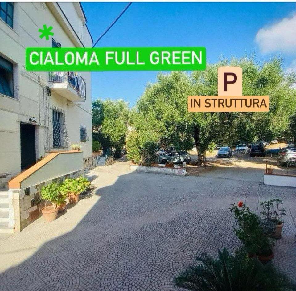 Cialoma Full Green Marina di Camerota Dış mekan fotoğraf