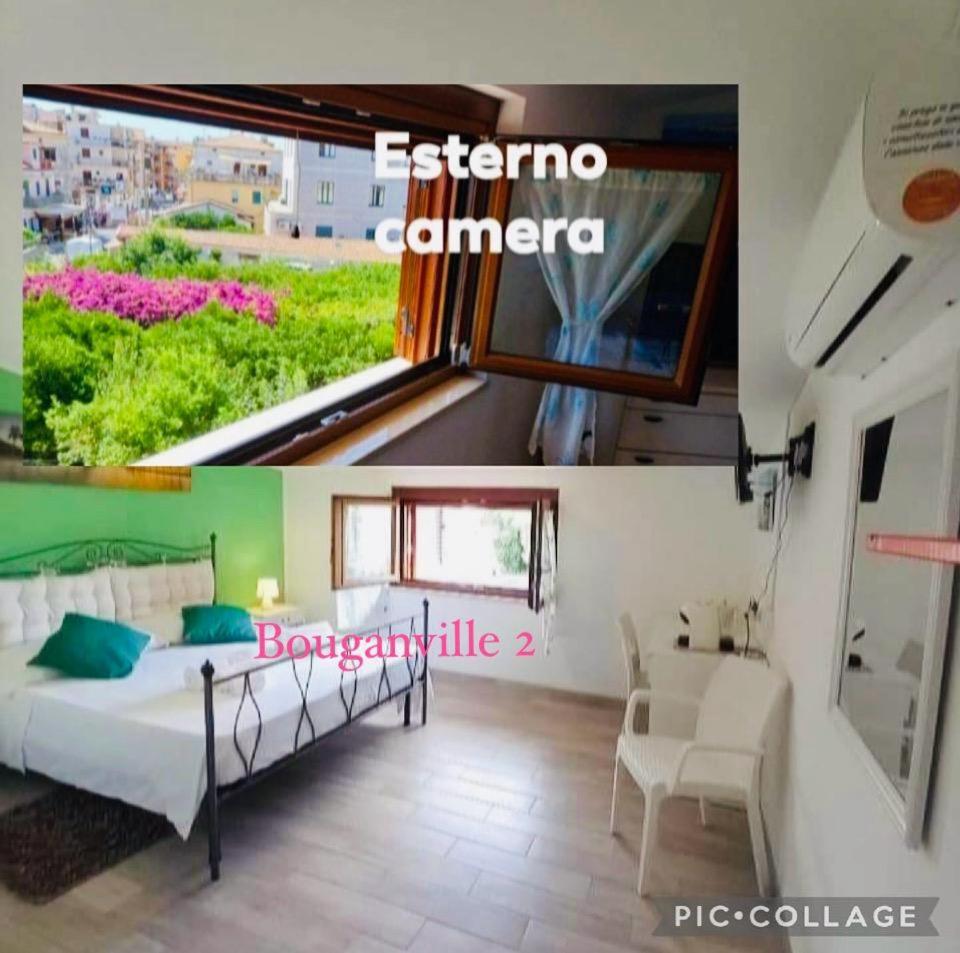 Cialoma Full Green Marina di Camerota Dış mekan fotoğraf